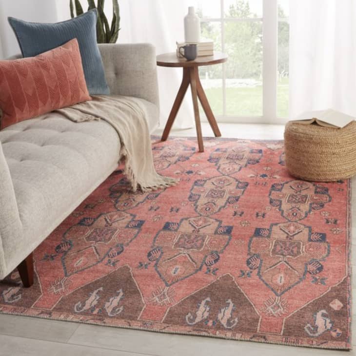 产品图片：关键时刻 - 拉尼面积地毯被盛传由斋浦尔生活，5' ×7'6