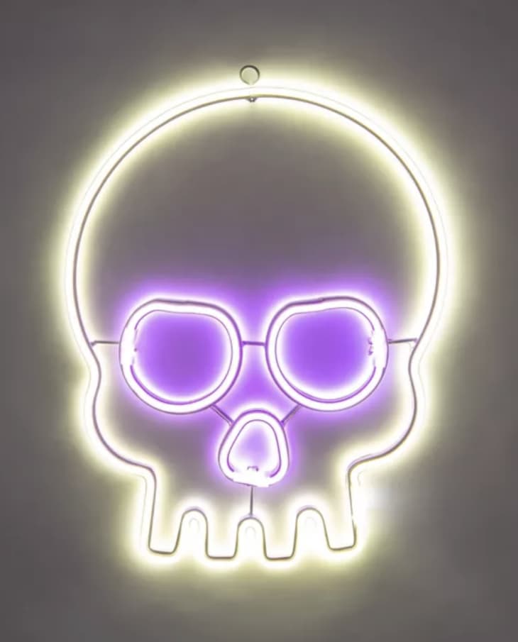 LED Lighted Faux Neon Skull at Target