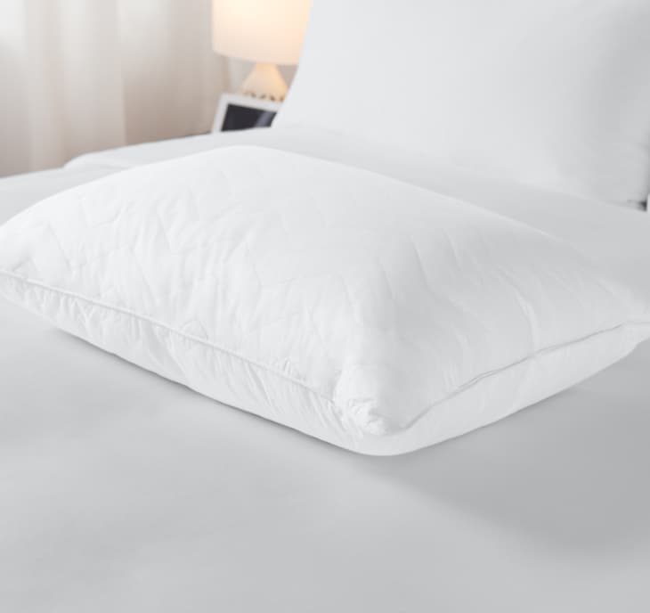 Product Image: Sobel Westex Sahara Nights Pillow