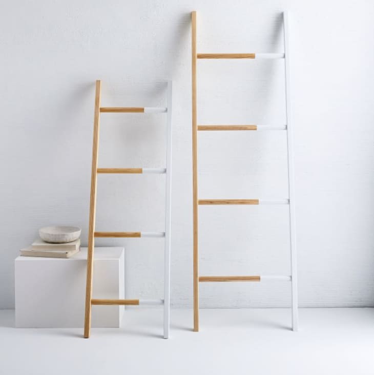 Solid Manufacturing Co. Decorative Found Ladder at West Elm