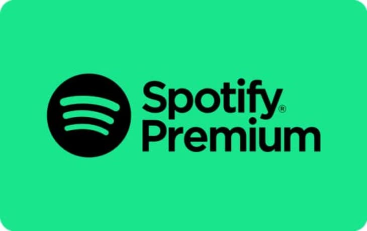 Product Image: Spotify Premium Subscription — 3 Months