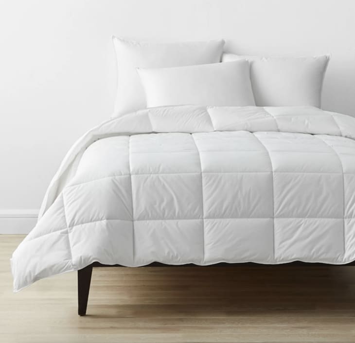 Product Image: Company Cotton Down Alternative Comforter, Queen