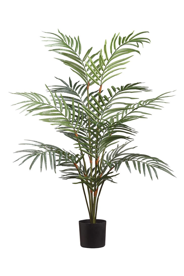 产品形象:盆栽罗贝利尼棕榈人造植物