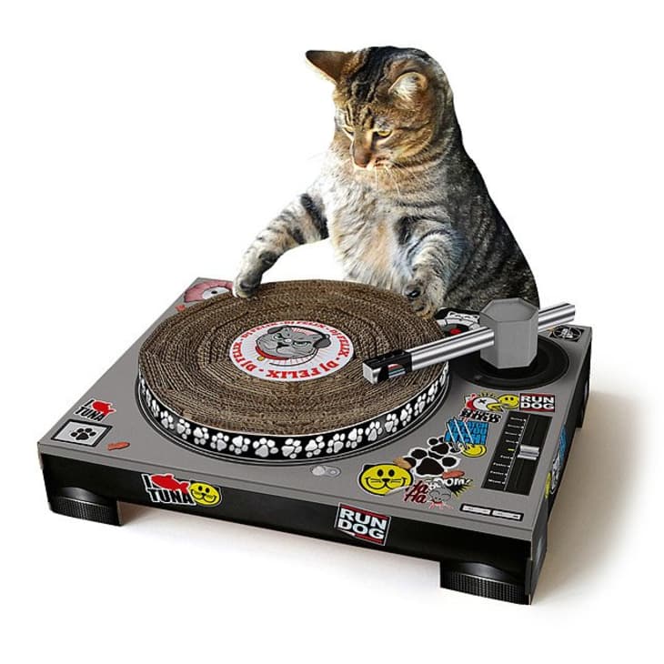 产品形象:DJ猫抓垫