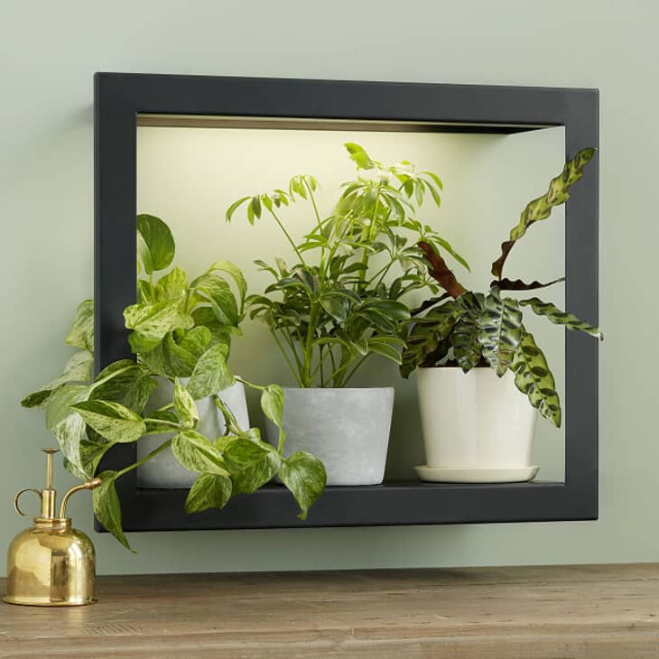 Product Image: Growlight Frame Shelf