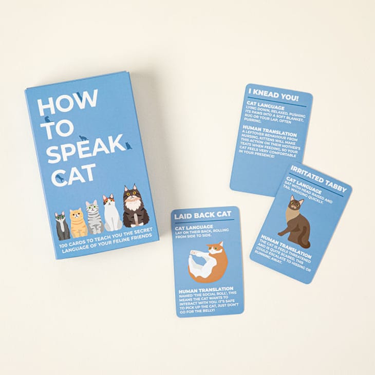 How To Speak Cat Cards at Uncommon Goods
