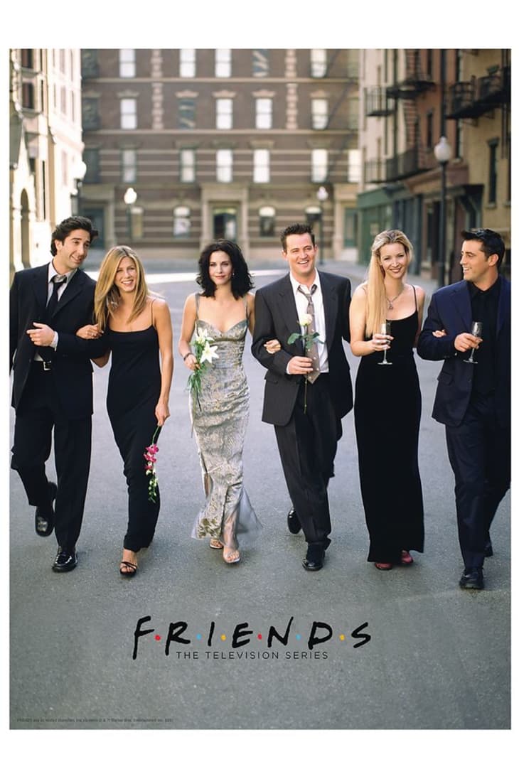 产品形象:Friends Cast 500 Piece Puzzle