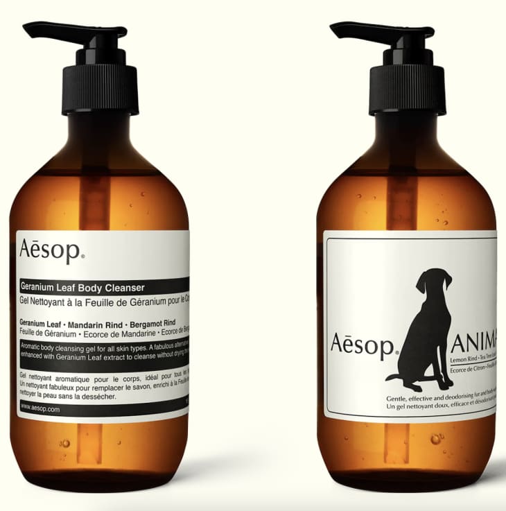 You & Your Dog Duo at Aesop