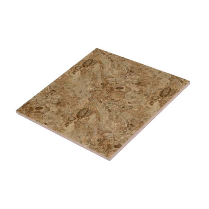 Product Image: Brown Marble Fossil Look Tile