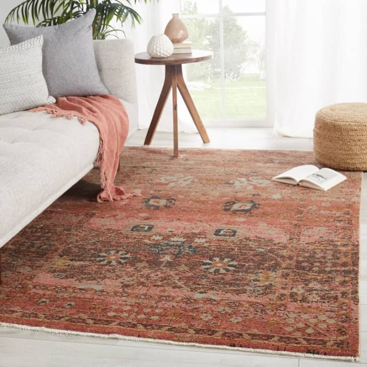 The Best Rugs for Pets: Everything You Need to Know