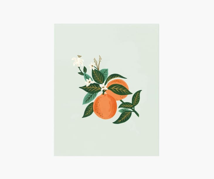 Product Image: Orange Blossom Art Print, 8" x 10"