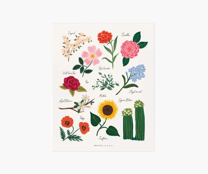 Product Image: Florals of the United States Art Print, 8" x 10"