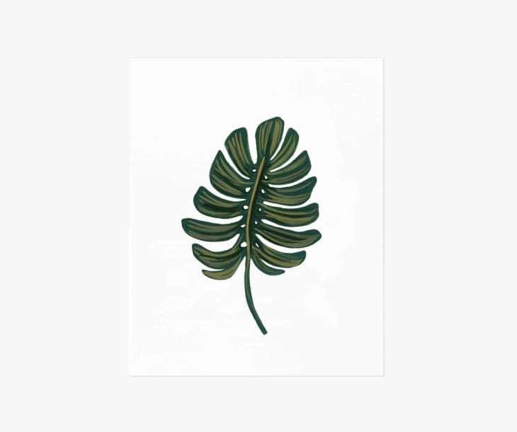 Product Image: Monstera Leaf Art Print, 8" x 10"