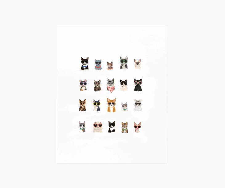Product Image: Cool Cats Art Print, 8" x 10"