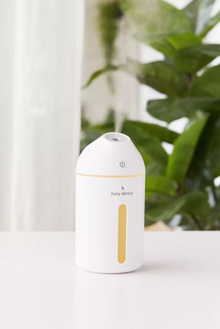 Product Image: Hey Dewy Portable Facial Humidifier