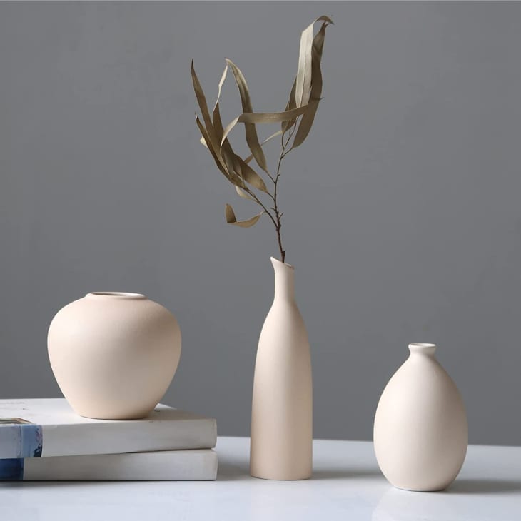 Abbittar Ceramic Vase (Set of 3) at Amazon