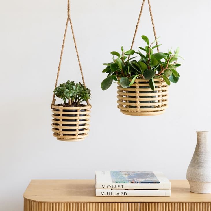 Product Image: Adobe Rattan Hanging Planters - Set of 2