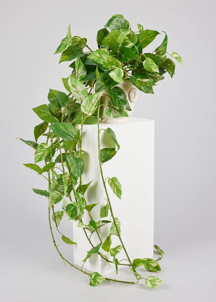 Natural Touch Pothos Artificial Plant, 48" at Afloral