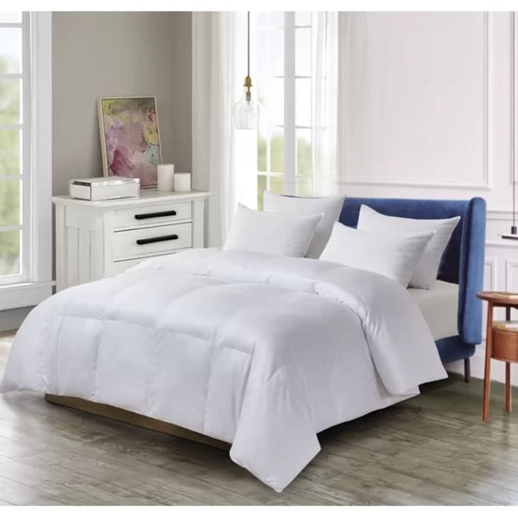 Product Image: Alwyn Home All Season Polyester Down Alternative Comforter