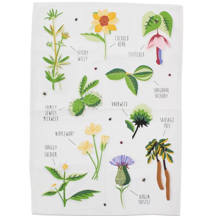 Product Image: Ridiculously Rude Plants Dish Towel
