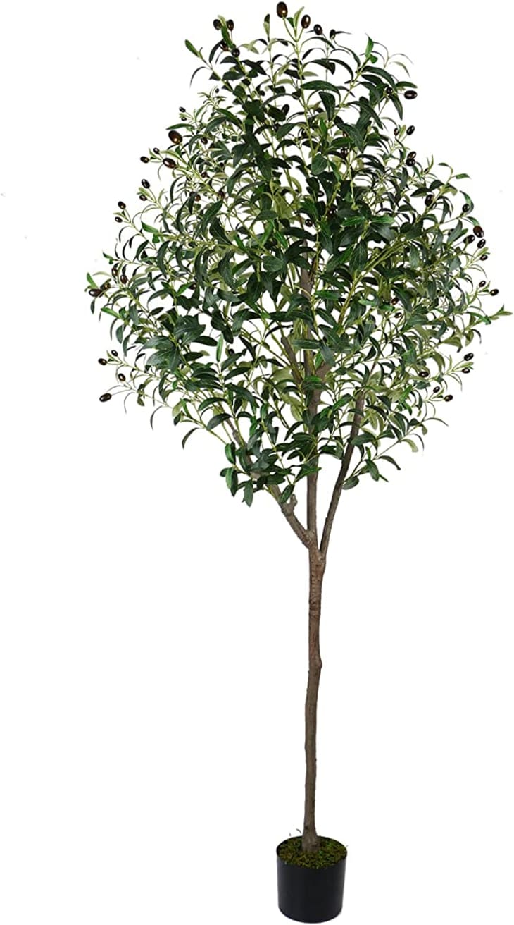 HaiSpring Artificial Olive Tree at Amazon