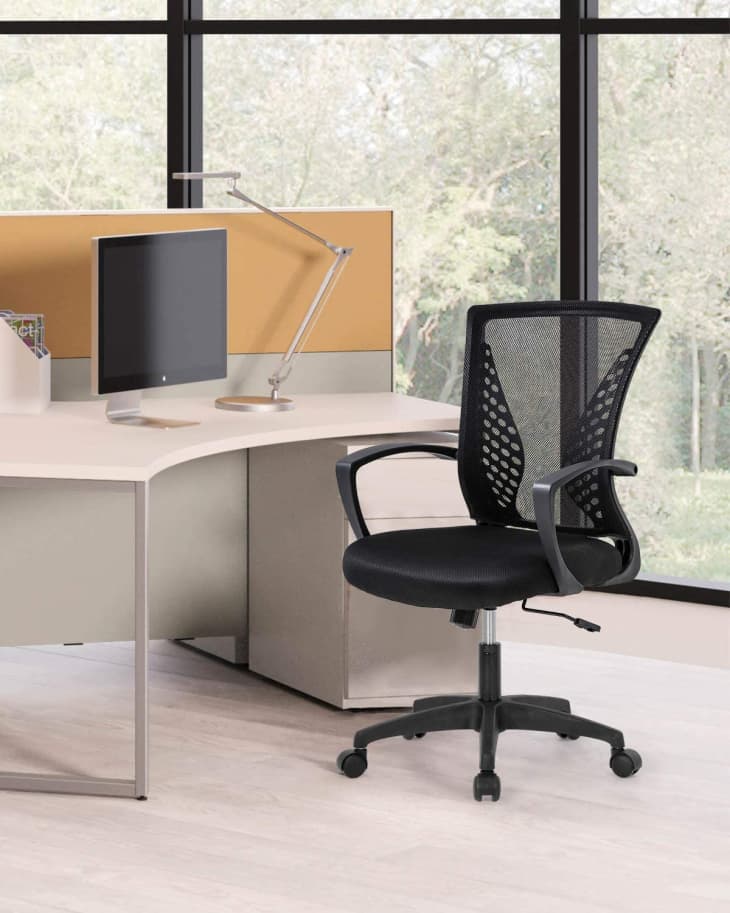 Product Image: FDW Lumbar Support Mesh Office Chair