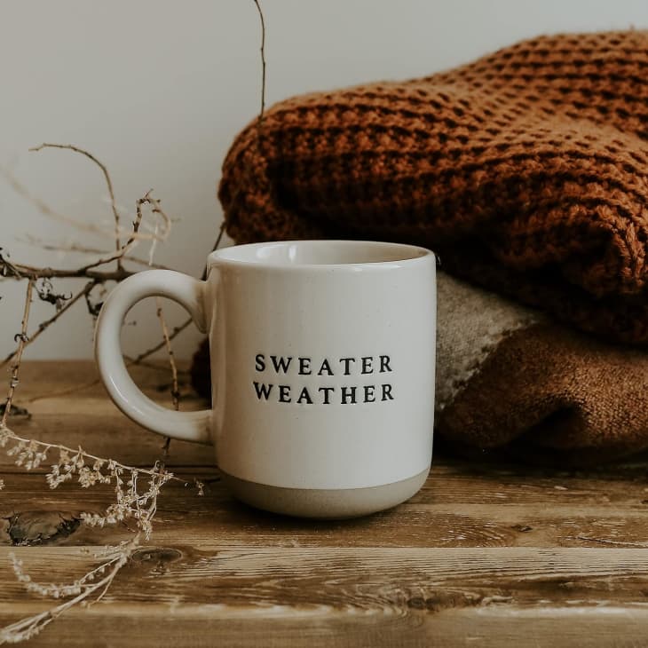 https://cdn.apartmenttherapy.info/image/upload/f_auto,q_auto:eco,w_730/gen-workflow%2Fproduct-database%2Famazon-sweater-weather-mug