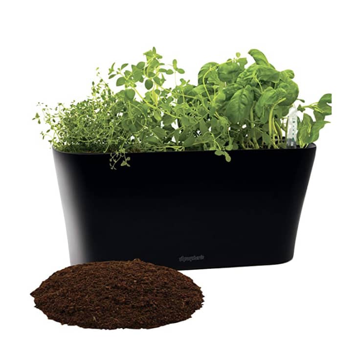 Product Image: Aquaphoric Herb Garden Tub