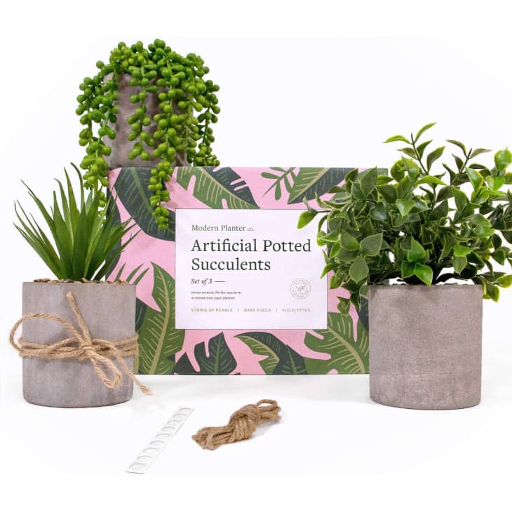 Product Image: Modern Planter Co. Faux Succulents