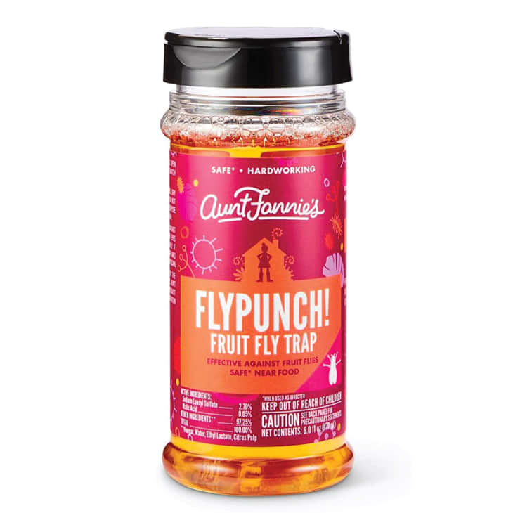 Product Image: Aunt Fannie's FlyPunch Non-Toxic Fruit Fly Trap