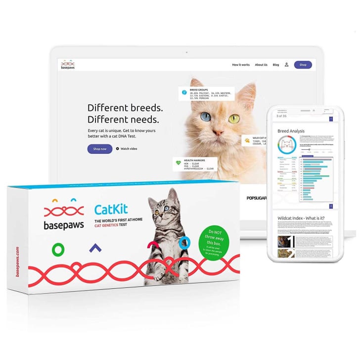 Product Image: Basepaws Cat DNA Test Kit