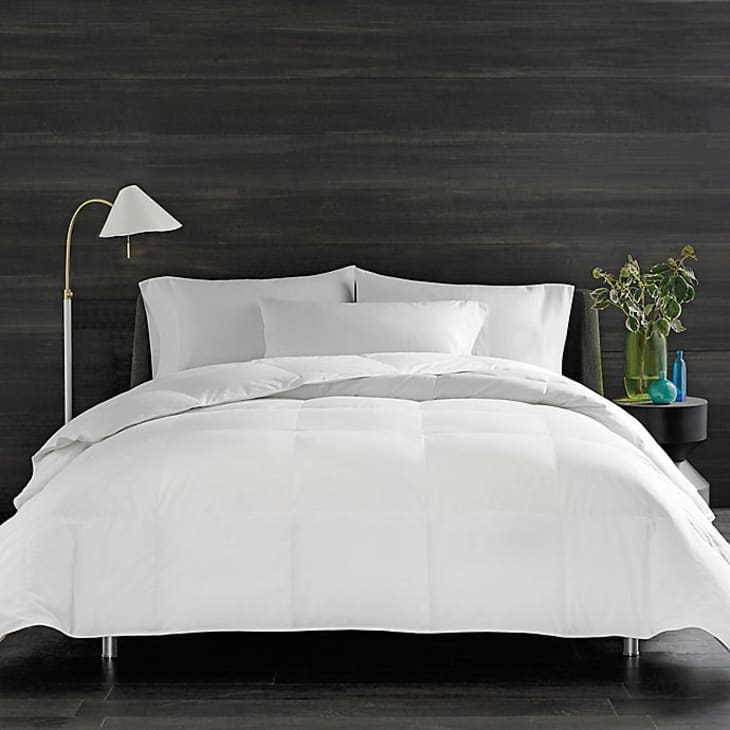 Product Image: Real Simple Home Grown Solid Full/Queen Down Alternative Comforter