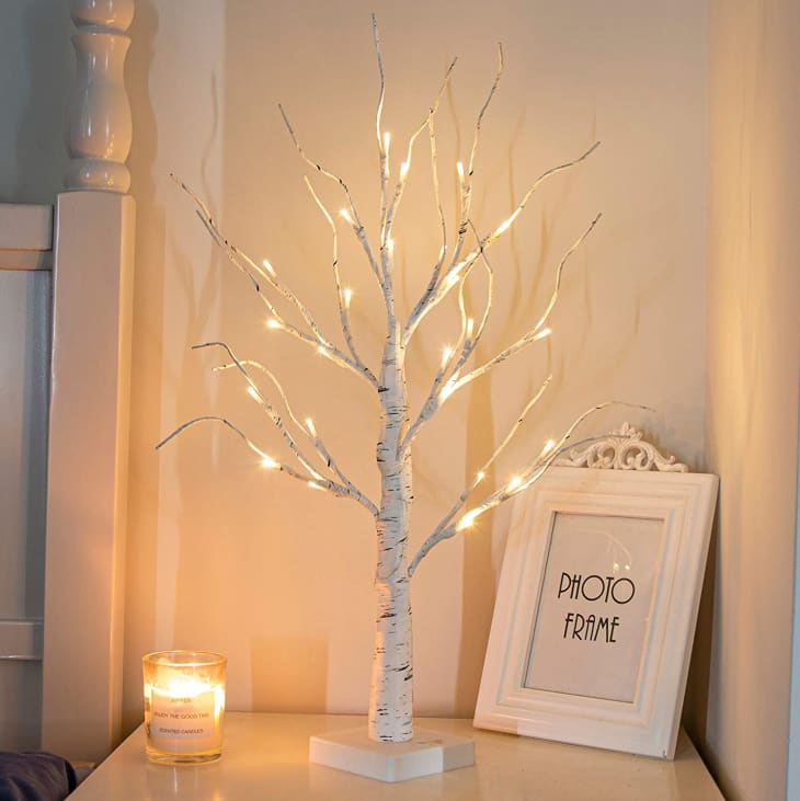 Product Image: Lighted Birch Tree