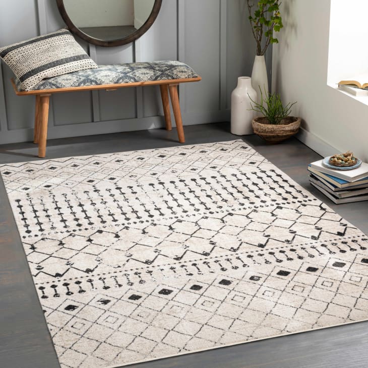 Joppatowne Washable Area Rug, 5' x 7' at Boutique Rugs