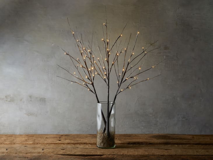 Product Image: Aurora Lighted Snowy Branch