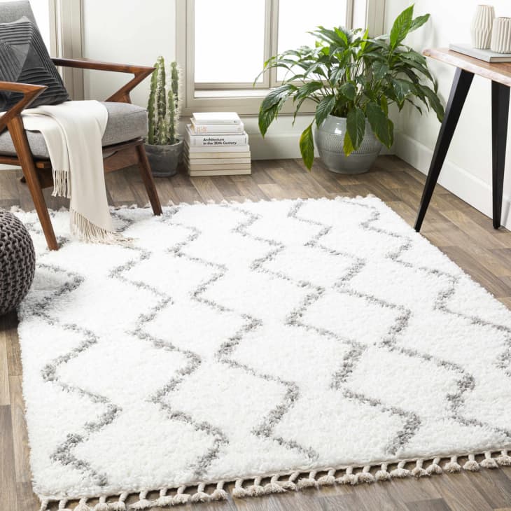 Product Image: Byford Area Rug, 5'3" x 7'3"