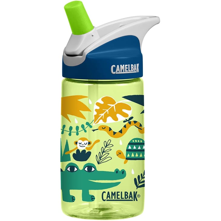 Product Image: CamelBak Eddy Kids BPA Free Water Bottle