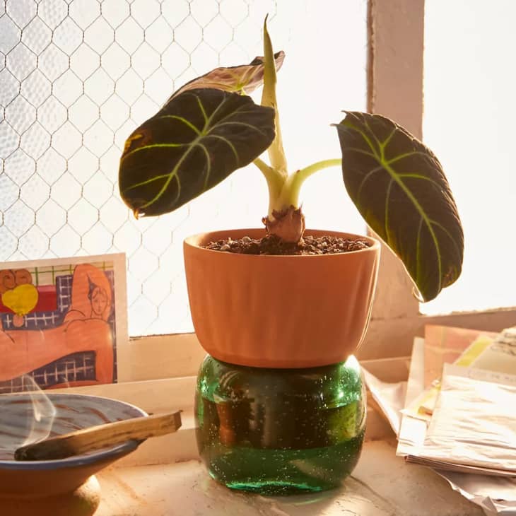 Carmella Small Self Watering Planter at Urban Outfitters