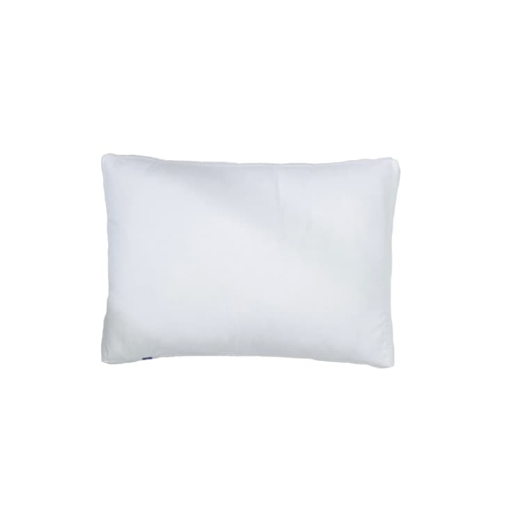 https://cdn.apartmenttherapy.info/image/upload/f_auto,q_auto:eco,w_730/gen-workflow%2Fproduct-database%2Fcasper-the-original-pillow-nordstrom