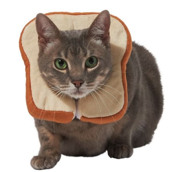 Frisco Bread Cat Costume at Chewy