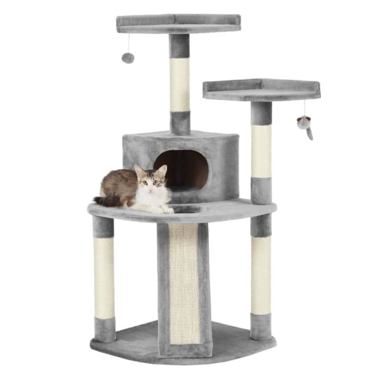 Frisco 48-in Faux Fur Cat Tree & Condo at Chewy