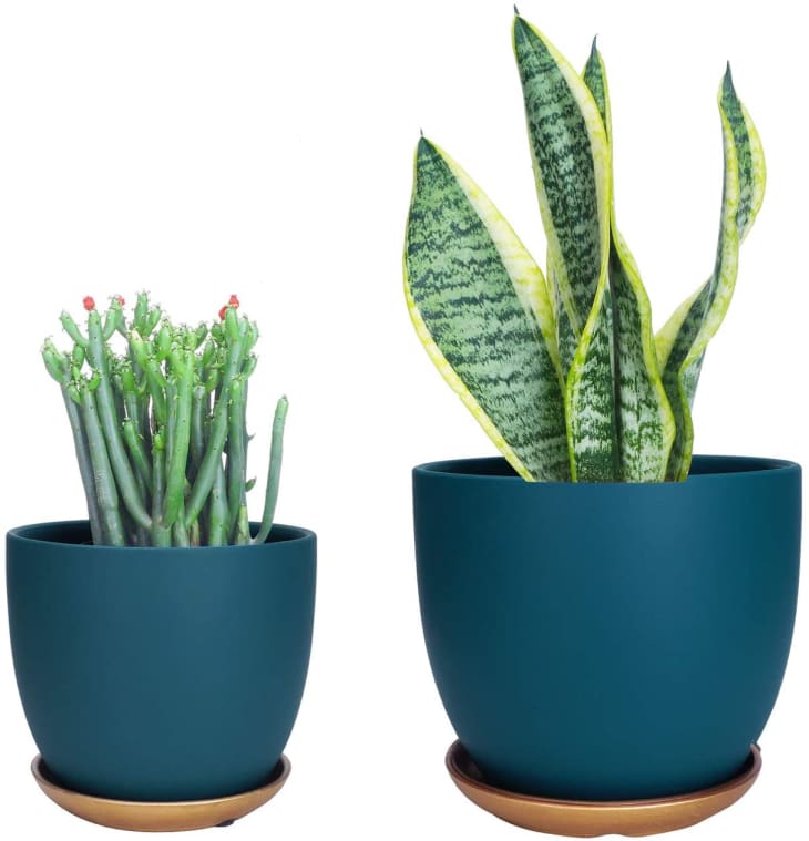 产品图片：Lovous Ceramic Plant Pot Set