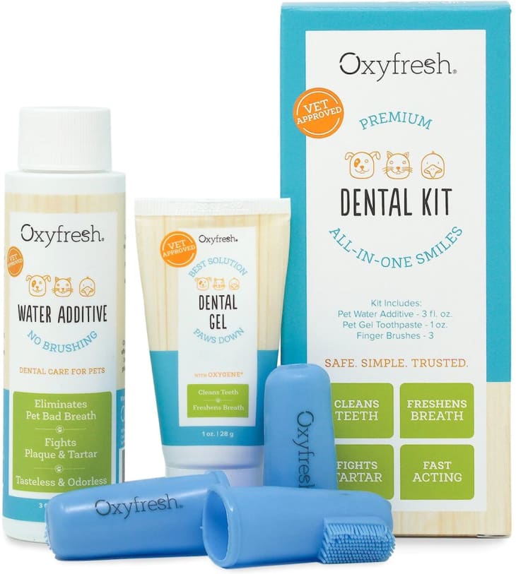 Oxyfresh Dog & Cat Dental Kit at Chewy