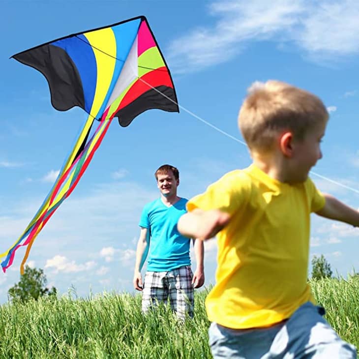 Product Image: Mint's Colorful Life Rainbow Kite