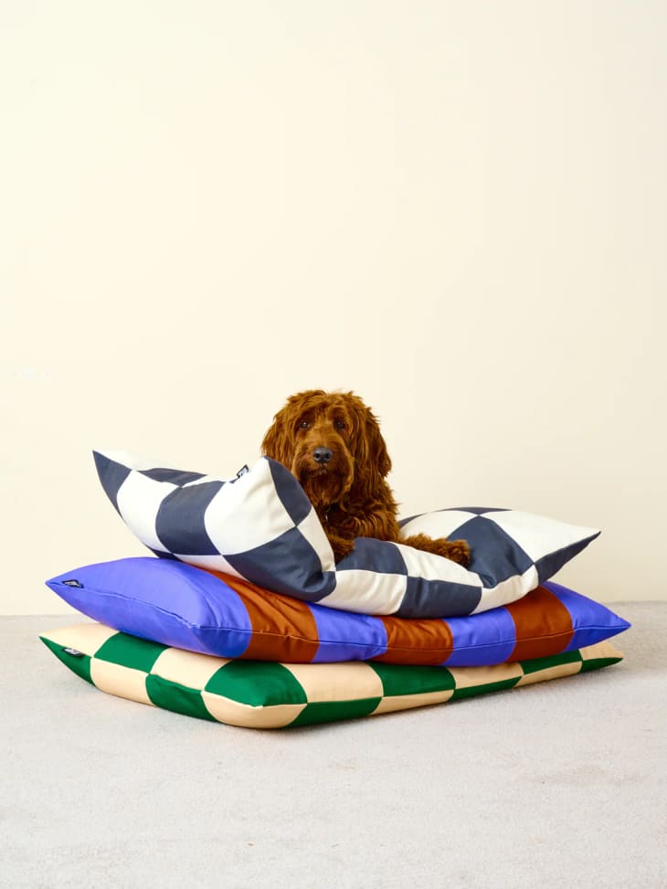 Product Image: The Fritz Bed