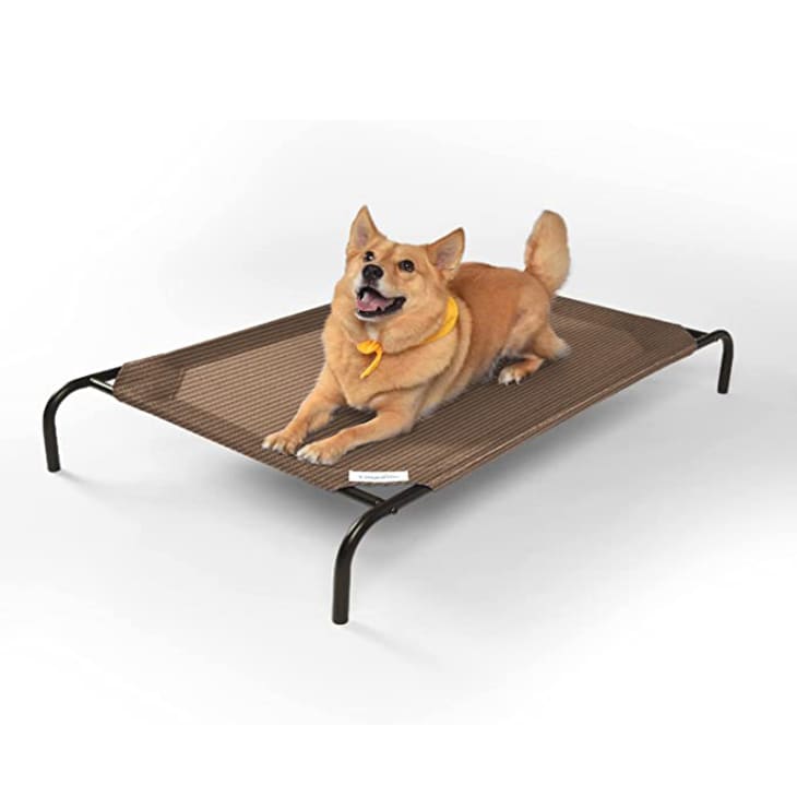 产品图片:Coolaroo冷却抬高宠物床，大型