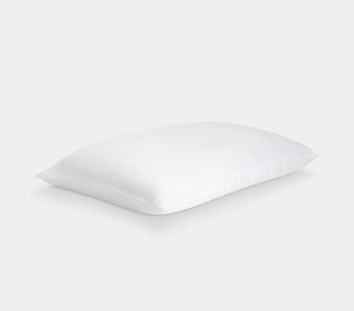 Product Image: Silk Pillow