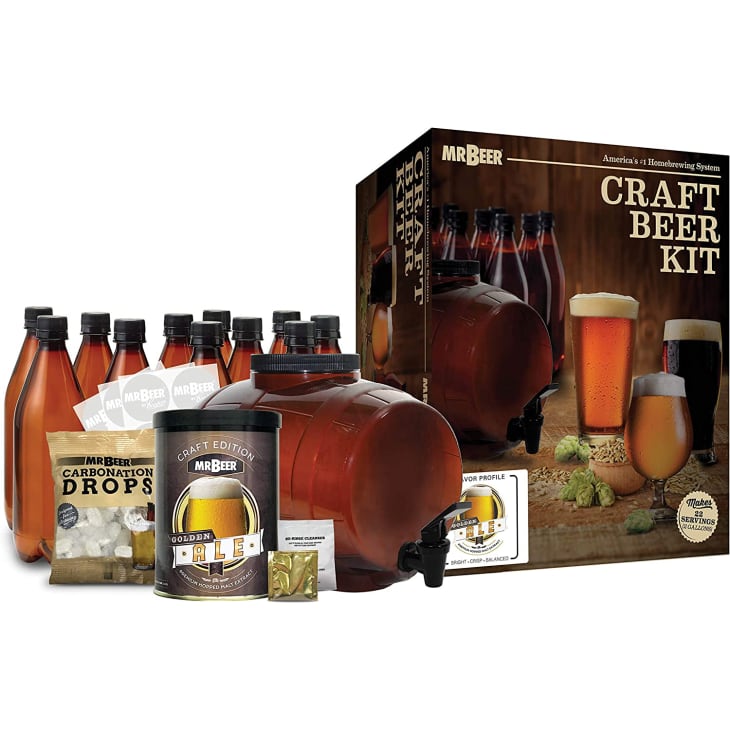 Mr. Beer 2 Gallon Complete Beer Making Kit at Amazon