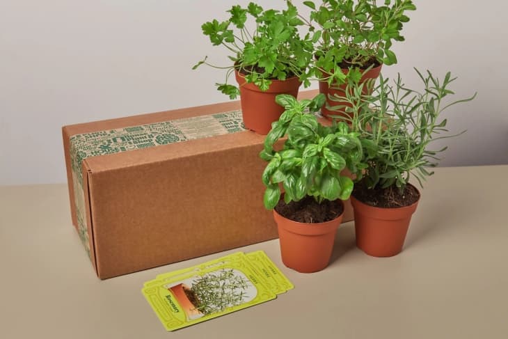 Seasonal Garden Plant Subscription at Cratejoy