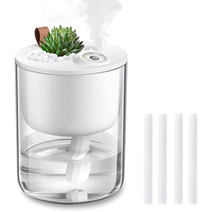 Product Image: DCMEKA Mini Ecological Humidifier